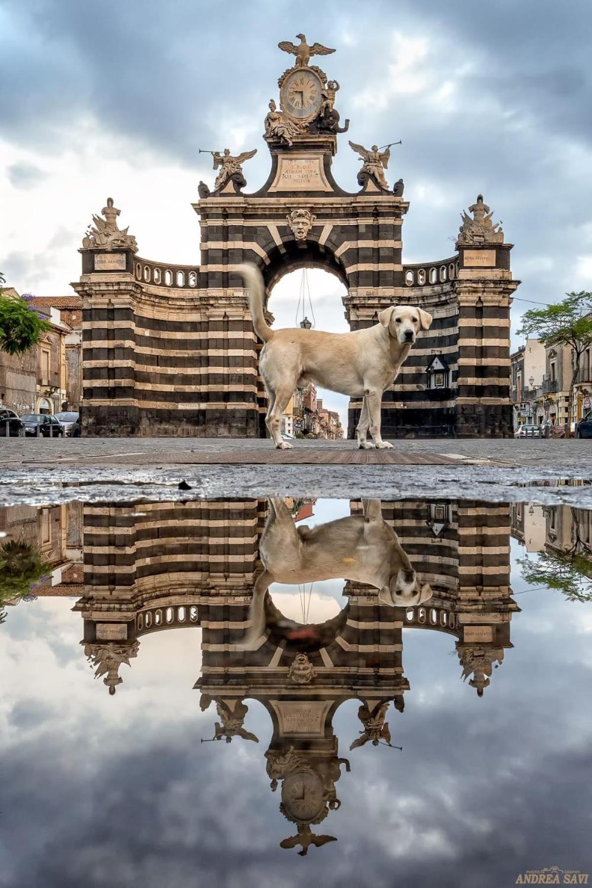 Garibaldi 94- Intera Casa A 2 Passi Dal Duomo Villa คาตาเนีย ภายนอก รูปภาพ